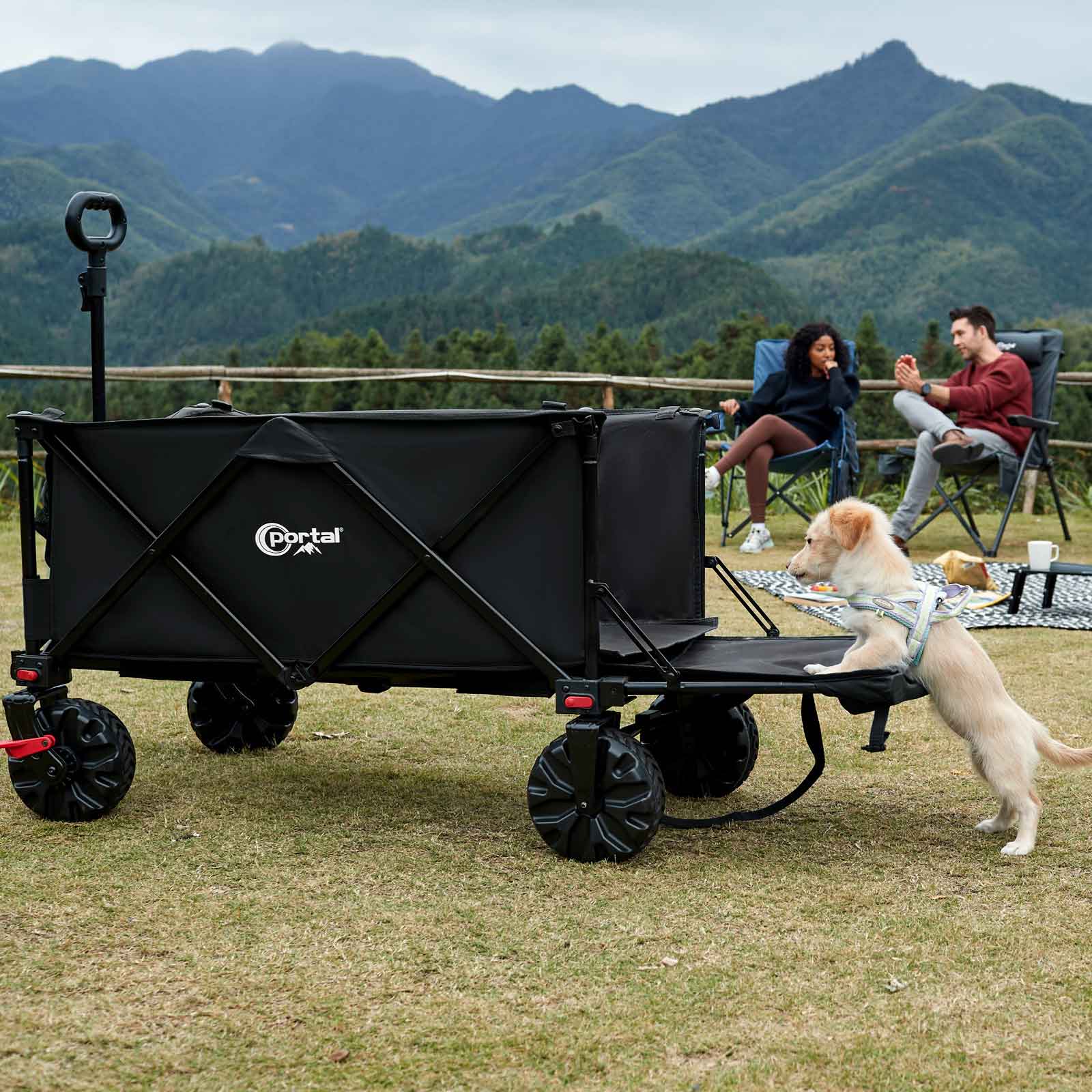 Foldable Beach Wagon with Tailgate - Portal Outdoors