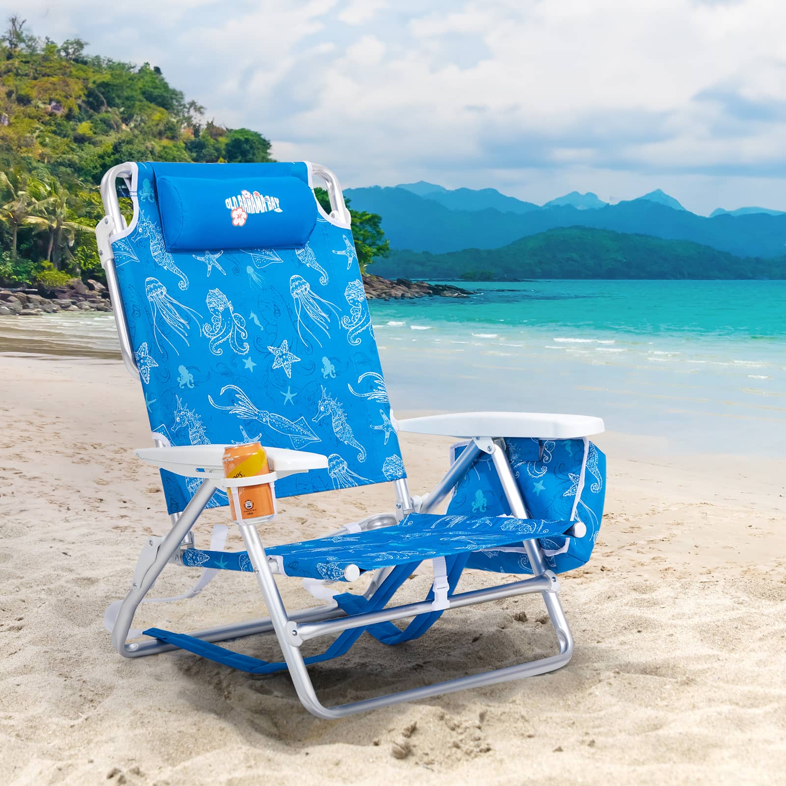 Reclining Beach Chair Blue- Portal Outdoors