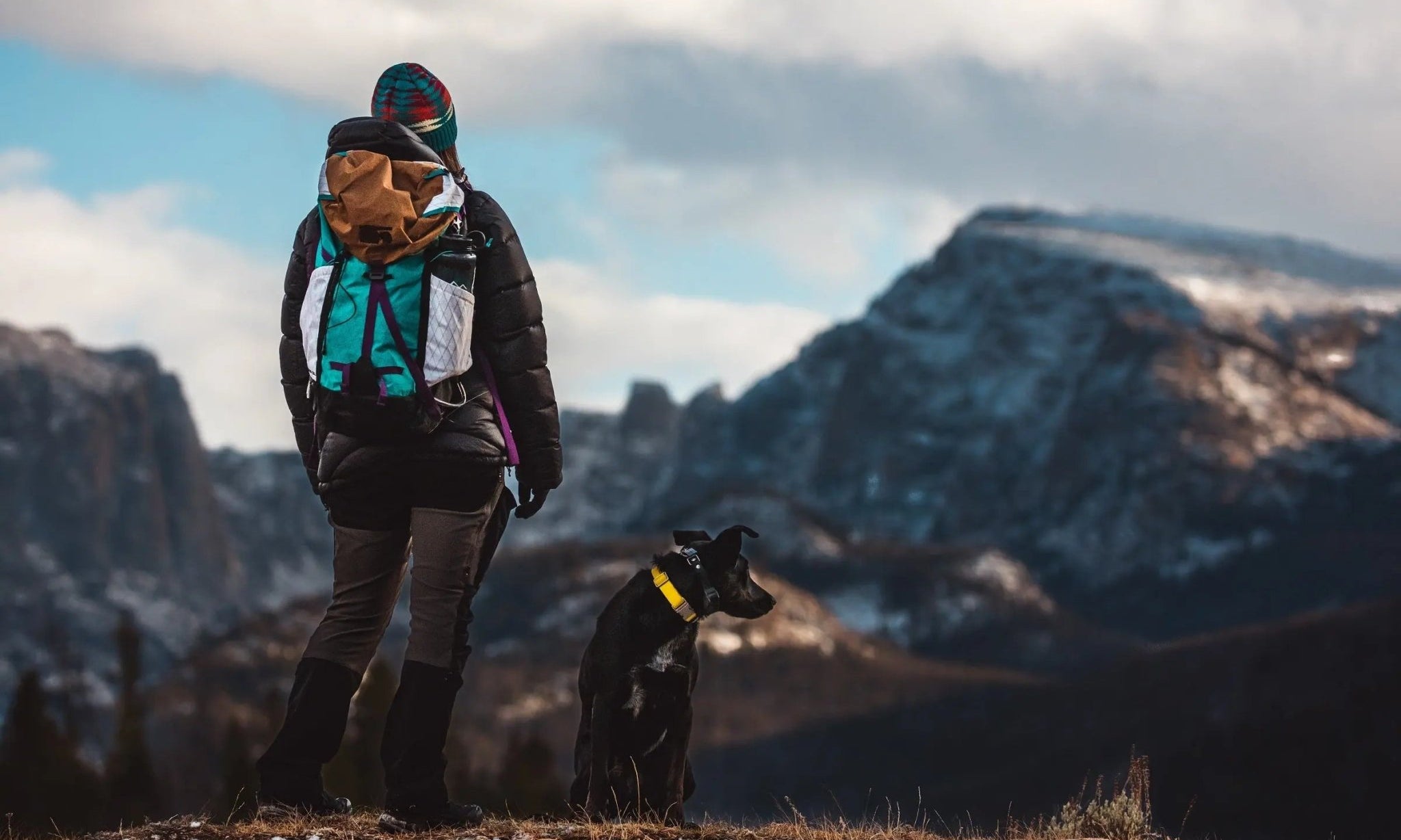 Tips for Camping With Dogs - Portal Outdoors