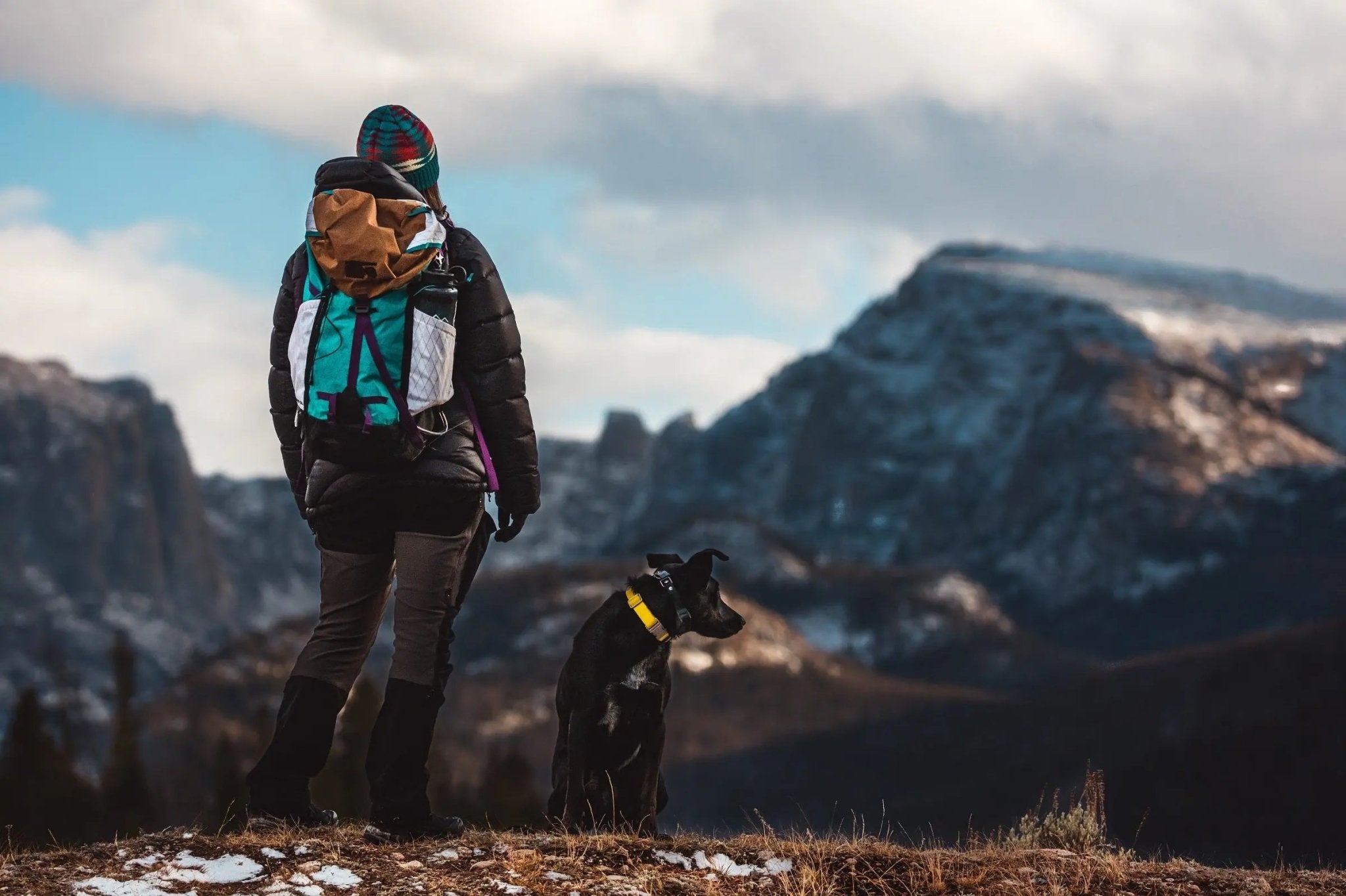Tips for Camping With Dogs - Portal Outdoors