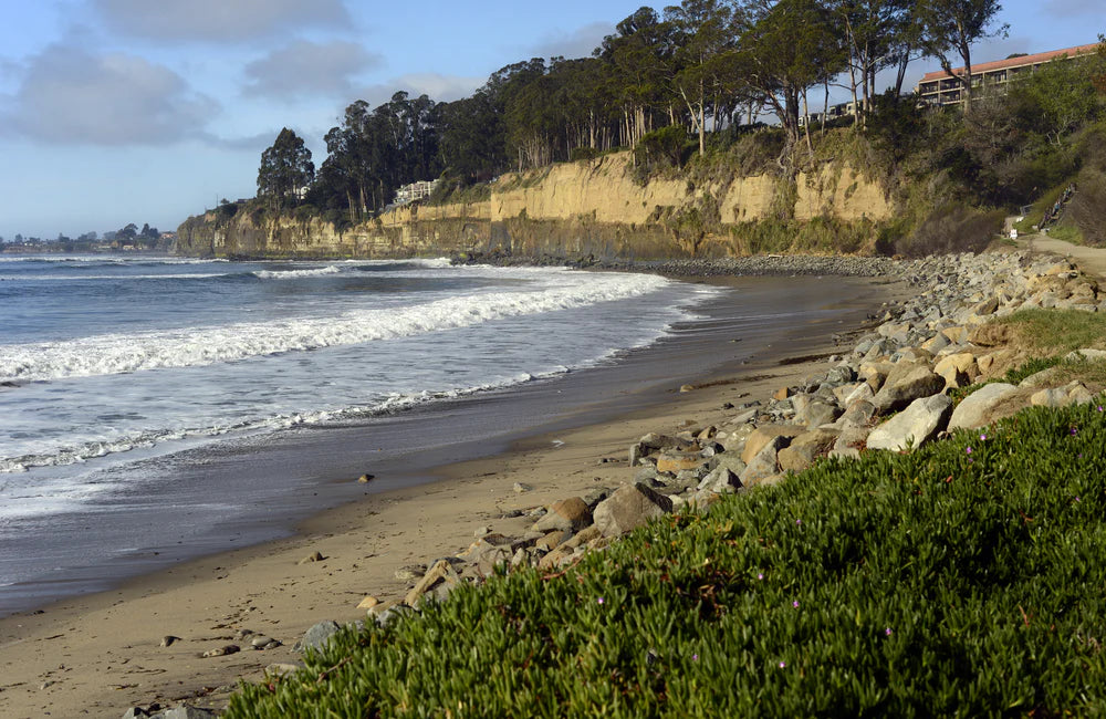 Guide for Beach Camping in California-portaloutdoors