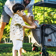 EVER ADVANCED Compact Travel Stroller - Portal Outdoors