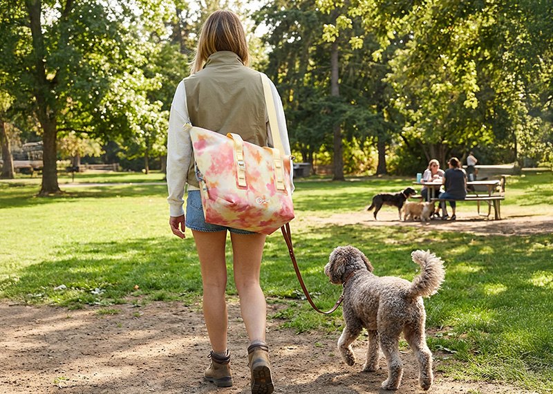 Portal  Portable Insulated Cooler Bag Use in Park