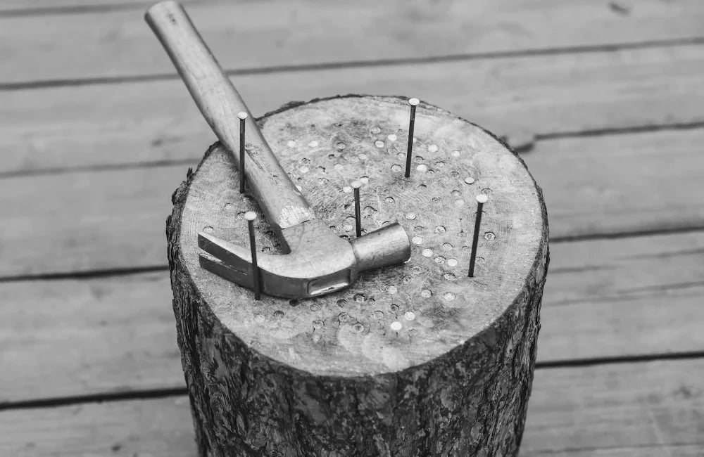 stump-game-1653033616096.webp