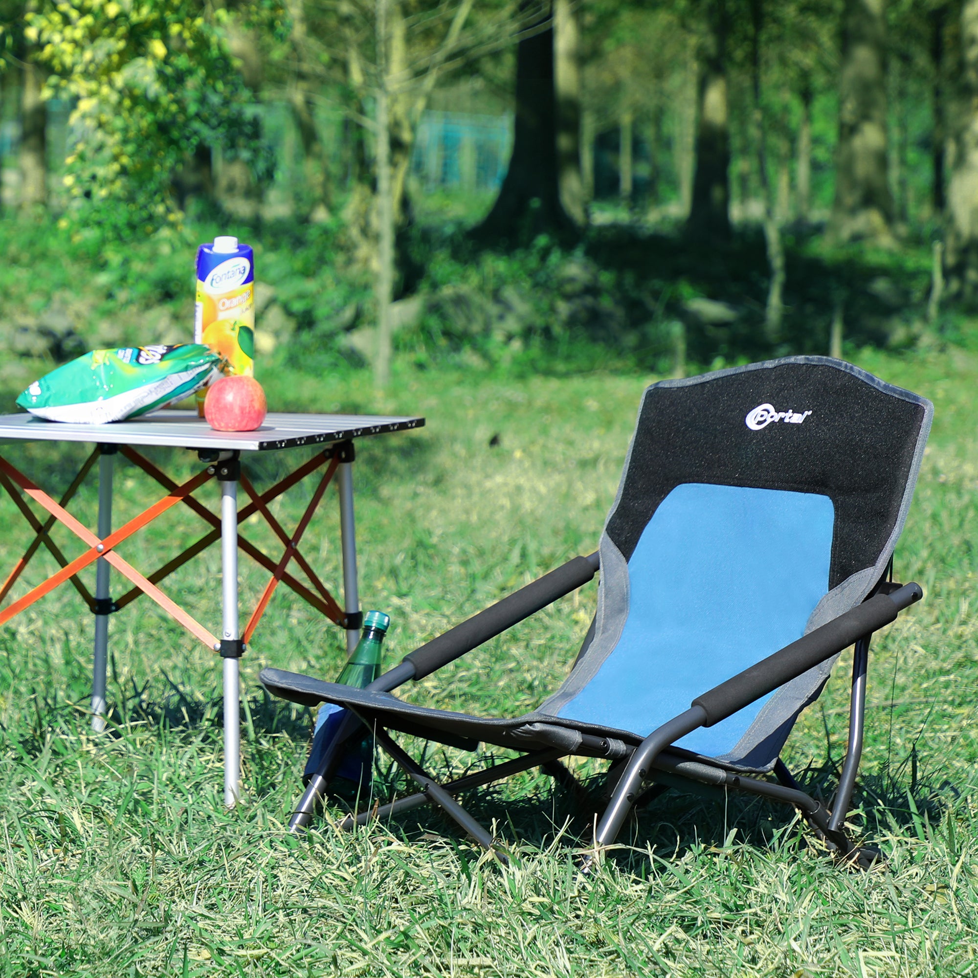 Low Small Beach Chair - Portal Outdoors - Dodger Blue - Portal Outdoors Low Small Beach Chair